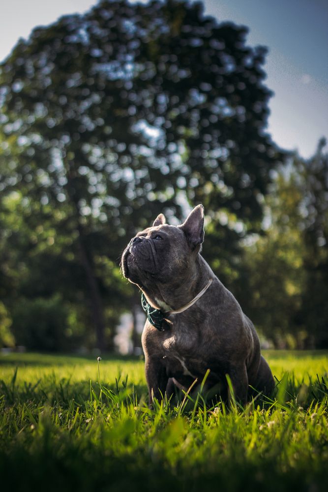 Photograph by Лидия Маркова