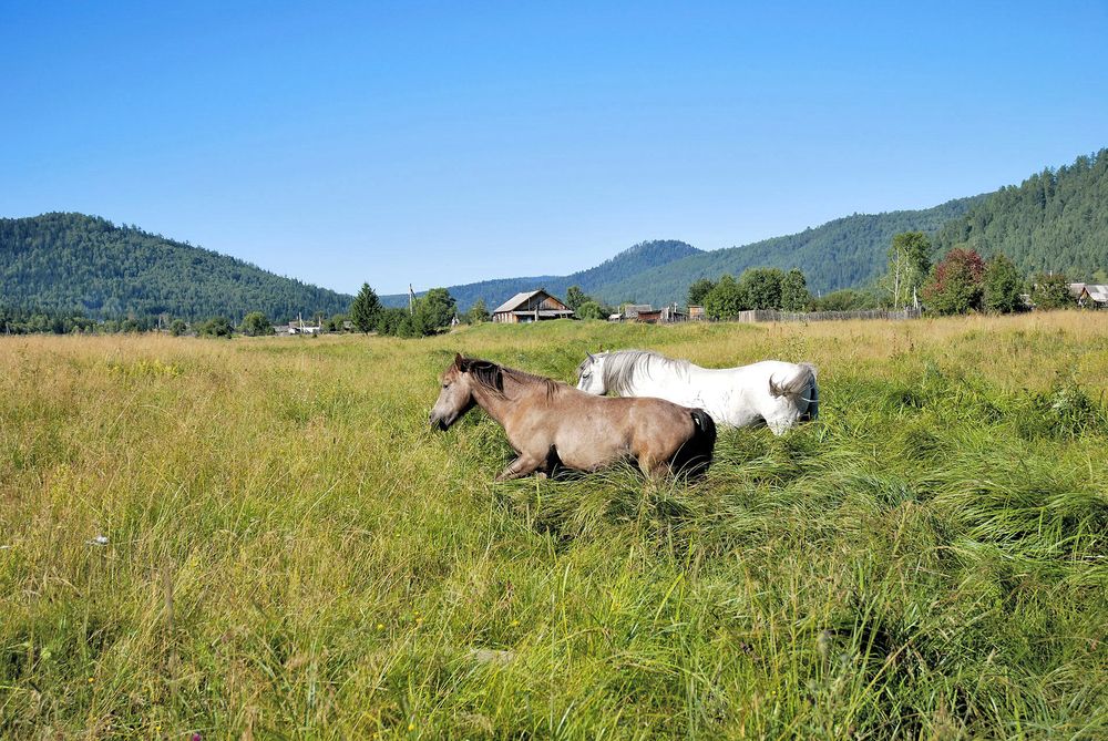 Photograph by Юрий Тимофеев