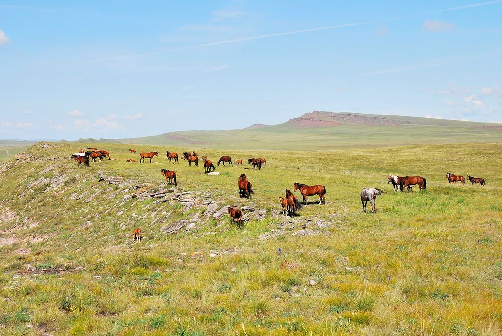 Photograph by Юрий Тимофеев