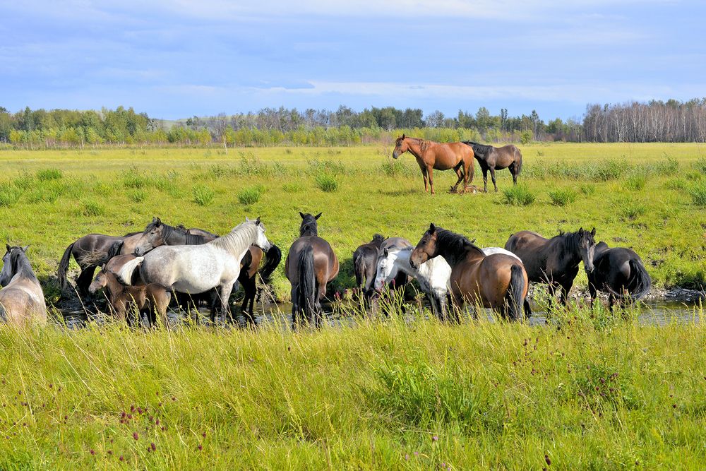 Photograph by Юрий Тимофеев