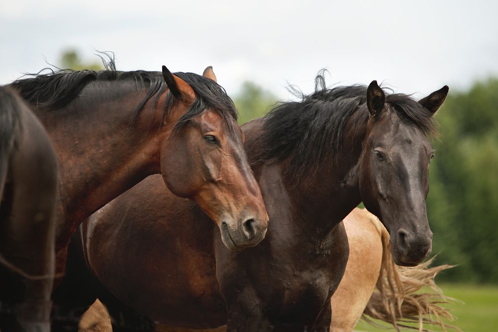 Фотография автора Марина Красовская