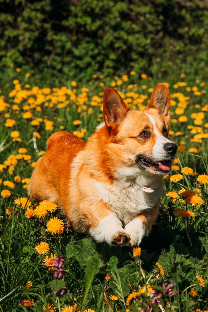 Photograph by Лидия Маркова