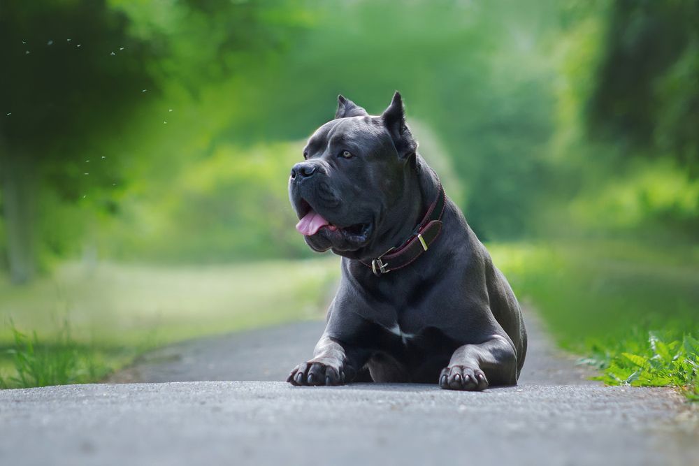 Photograph by Стрижаченко Инга