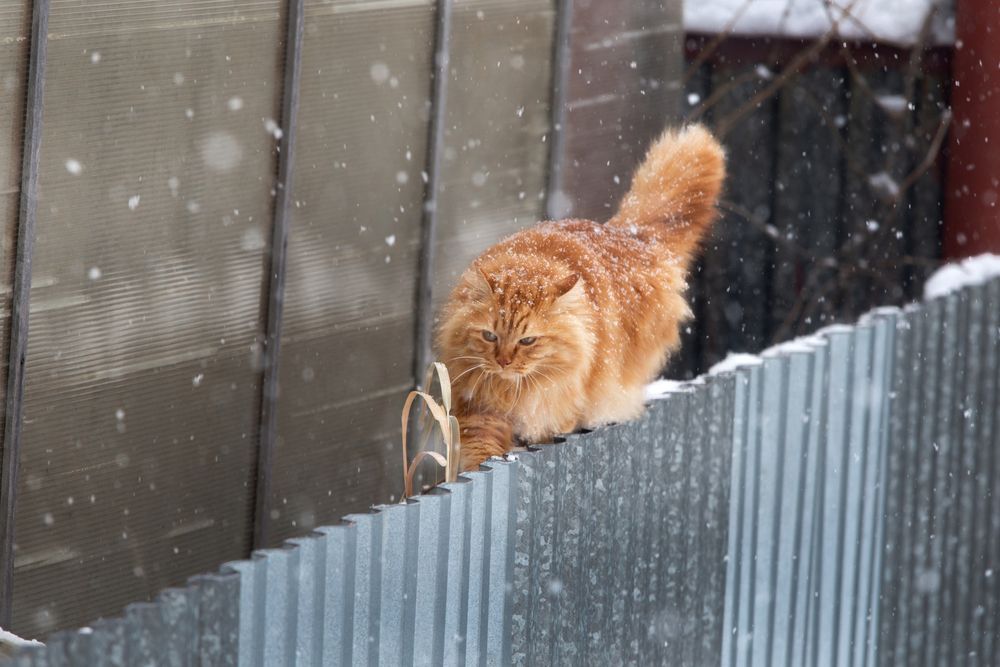 Photograph by Андрей Щербинин