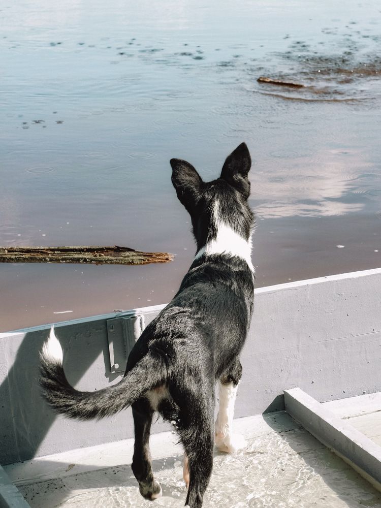 Фотография автора Евгения Никишина