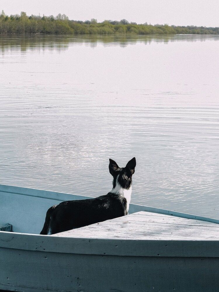 Фотография автора Евгения Никишина