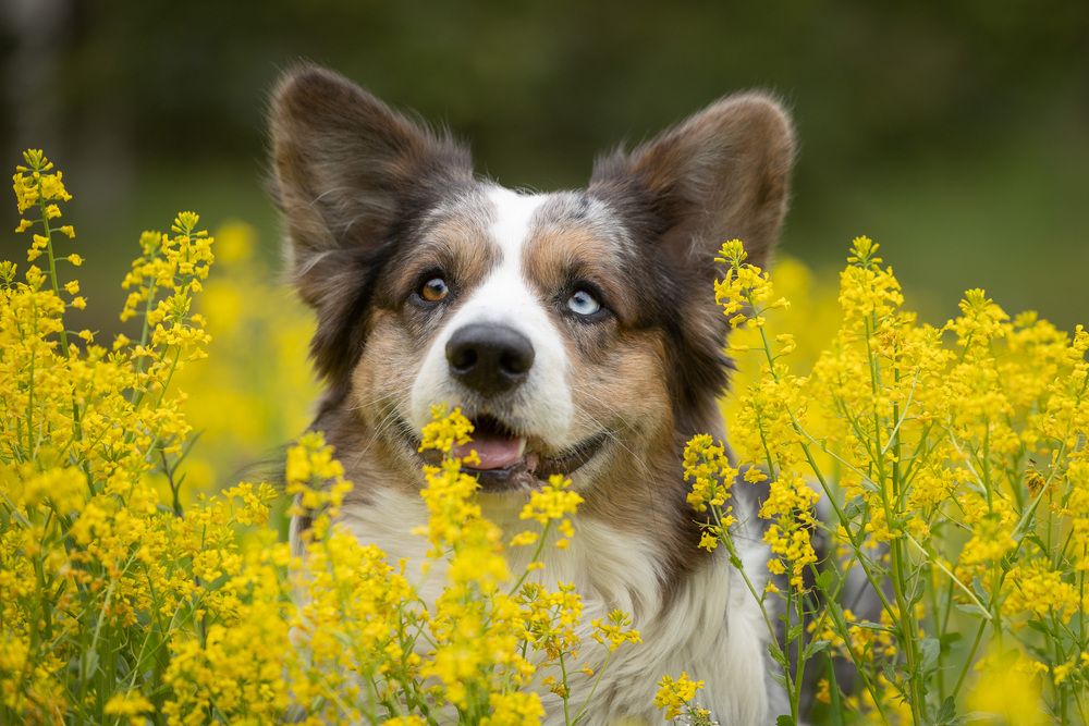 Photograph by Мария Комратова