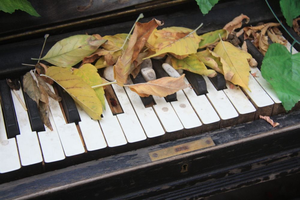 Photograph by Natalia Danilova