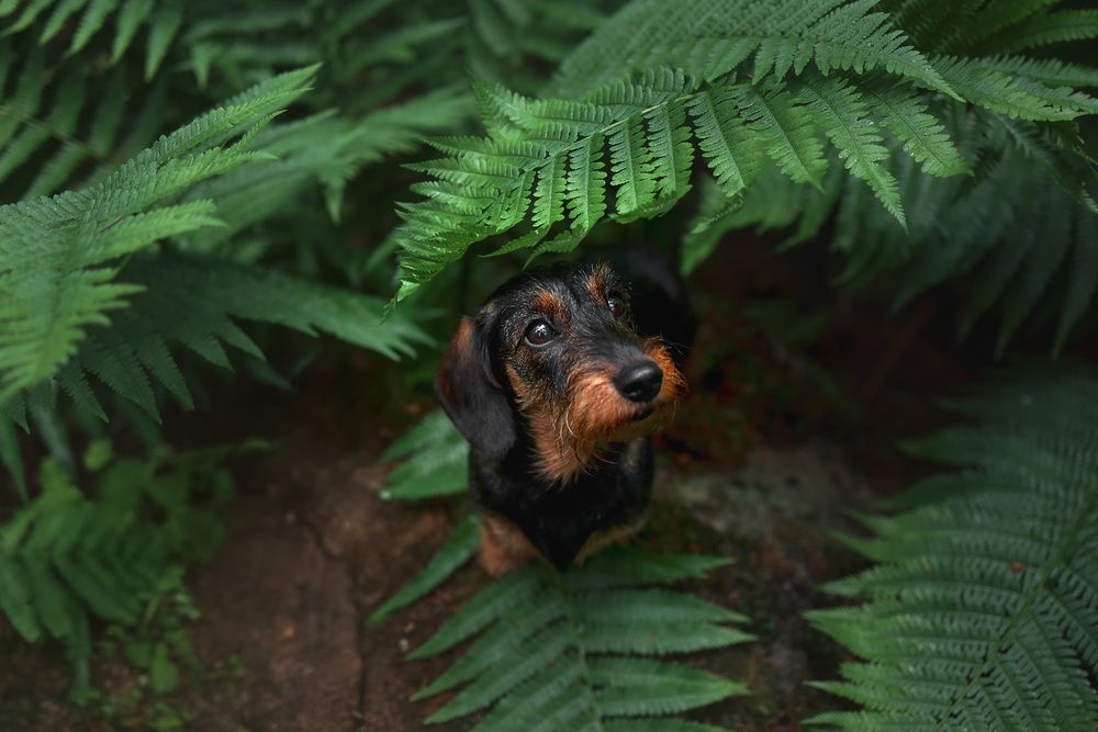 Photograph by Мария Комратова