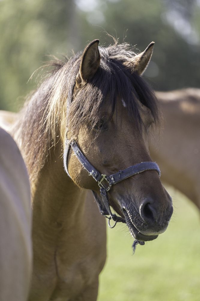 Photograph by Анастасия Петрова