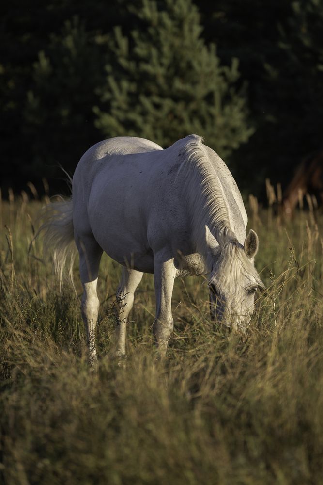 Photograph by Анастасия Петрова