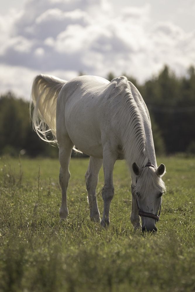 Photograph by Анастасия Петрова