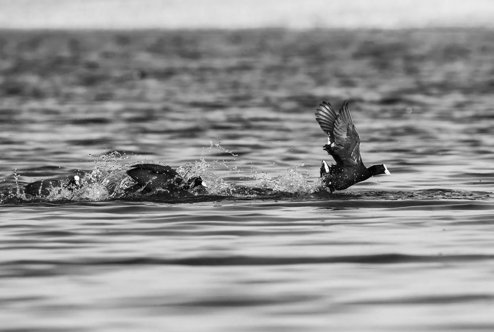 Photograph by Valdir Hobus