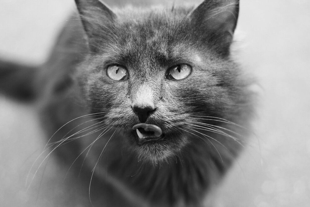 Photograph by Анна Кош