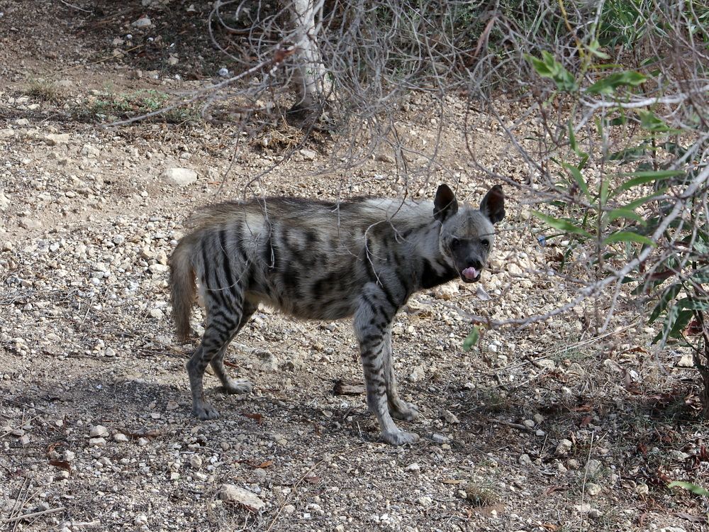 Photograph by Андрей Хитров