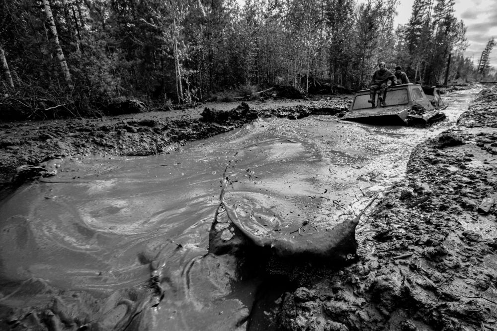 Photograph by Дронов Михаил