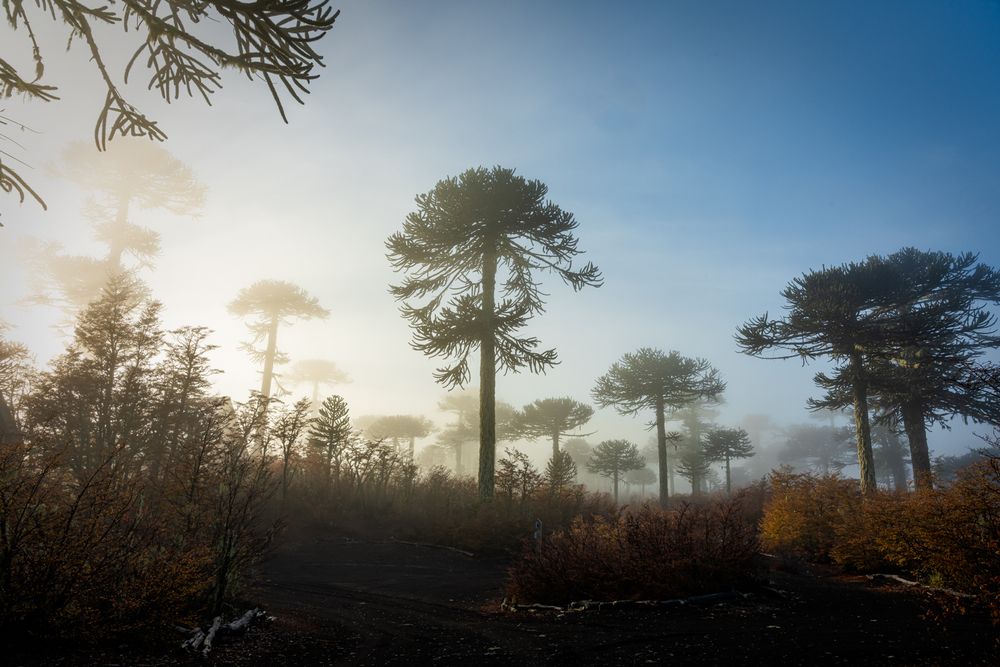 Photograph by Cristian Dinivitzer