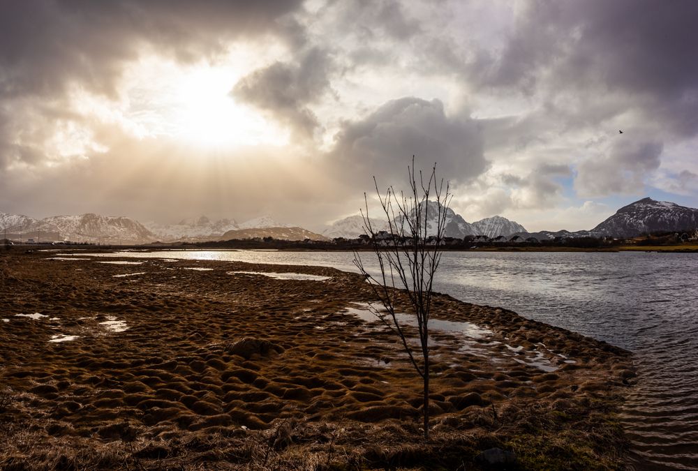 Photograph by Cristian Dinivitzer