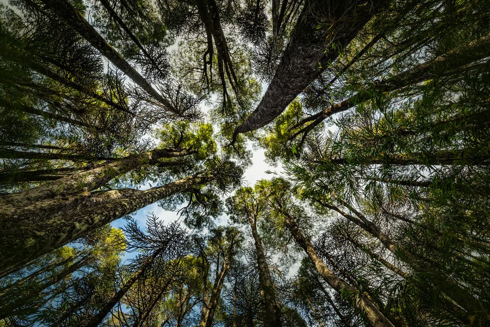 Photograph by Cristian Dinivitzer