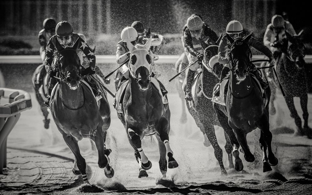 Photograph by Uesan Aliace