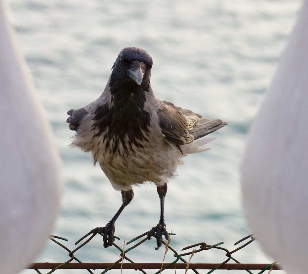 Photograph by Борис Захаров