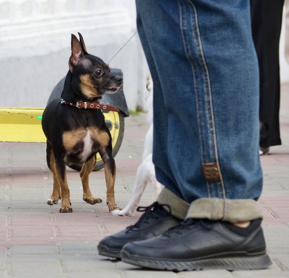 Предельная осторожность