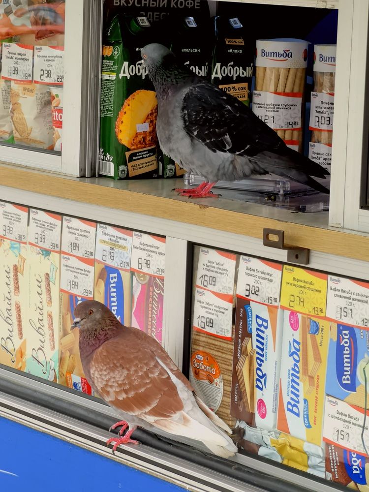 Фотография автора Александр Сипаров