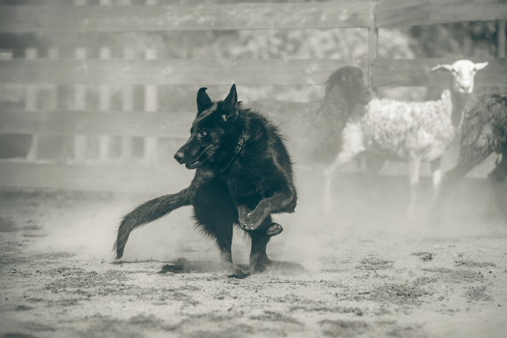 Photograph by Наталья Орел