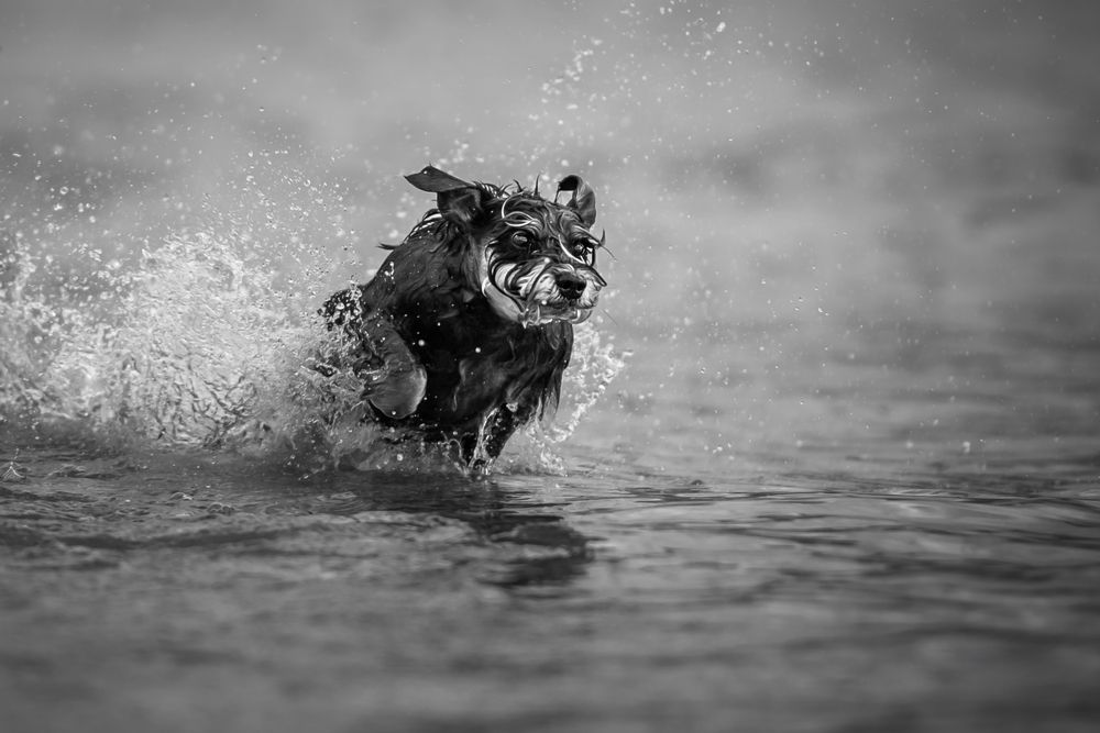 Photograph by Наталья Орел