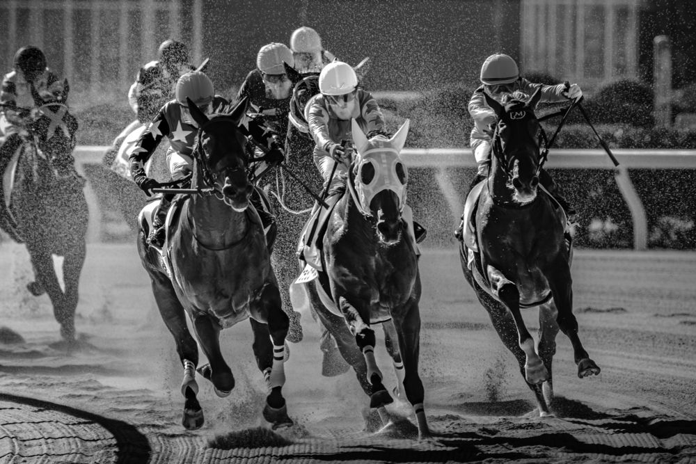 Фотография автора Uesan Aliace