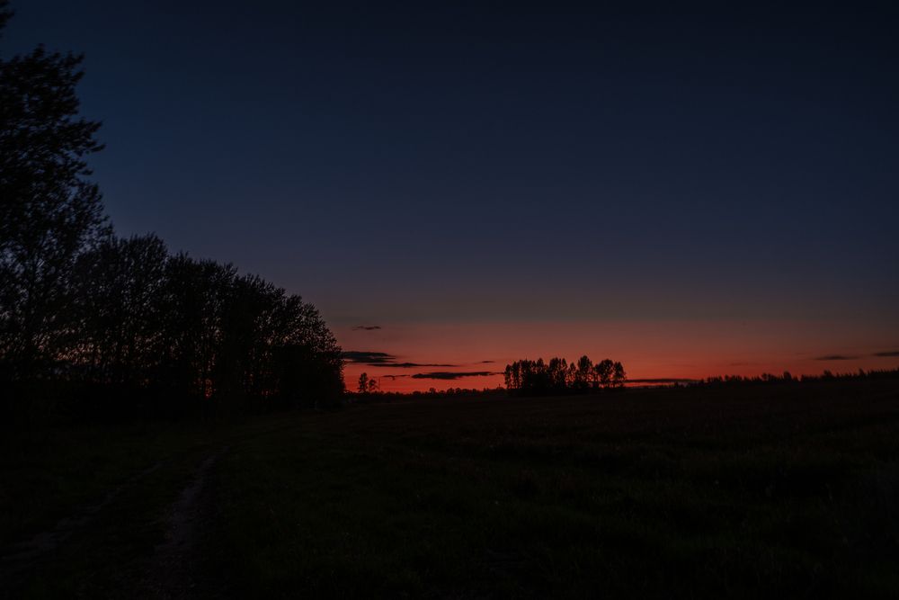 Photograph by Екатерина Богомолова