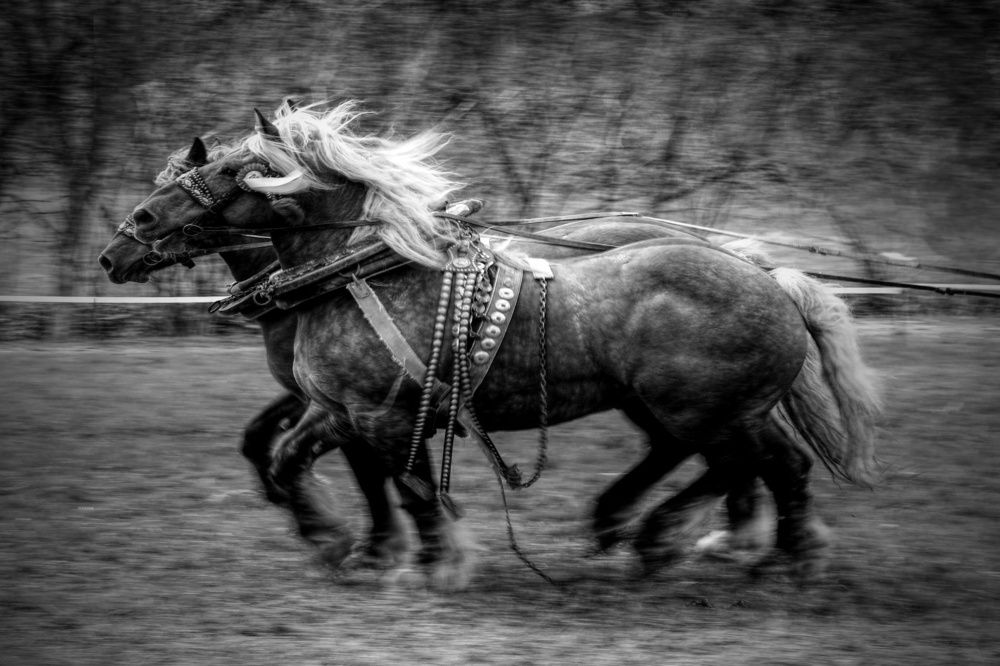 Photograph by Magdalena Kolenicova