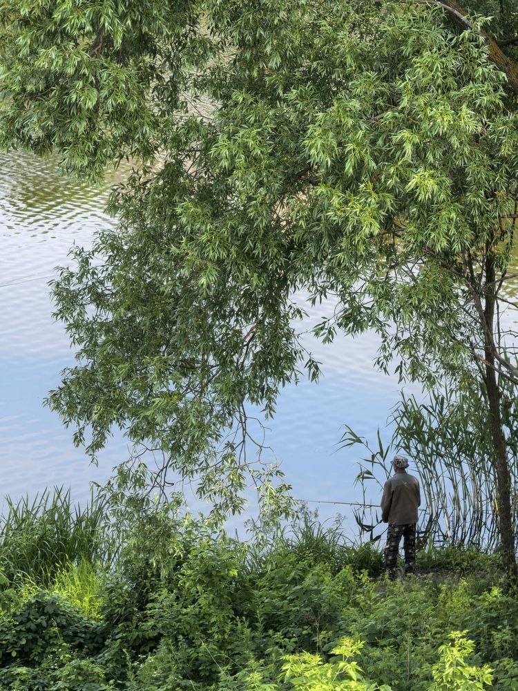 Photograph by Елена