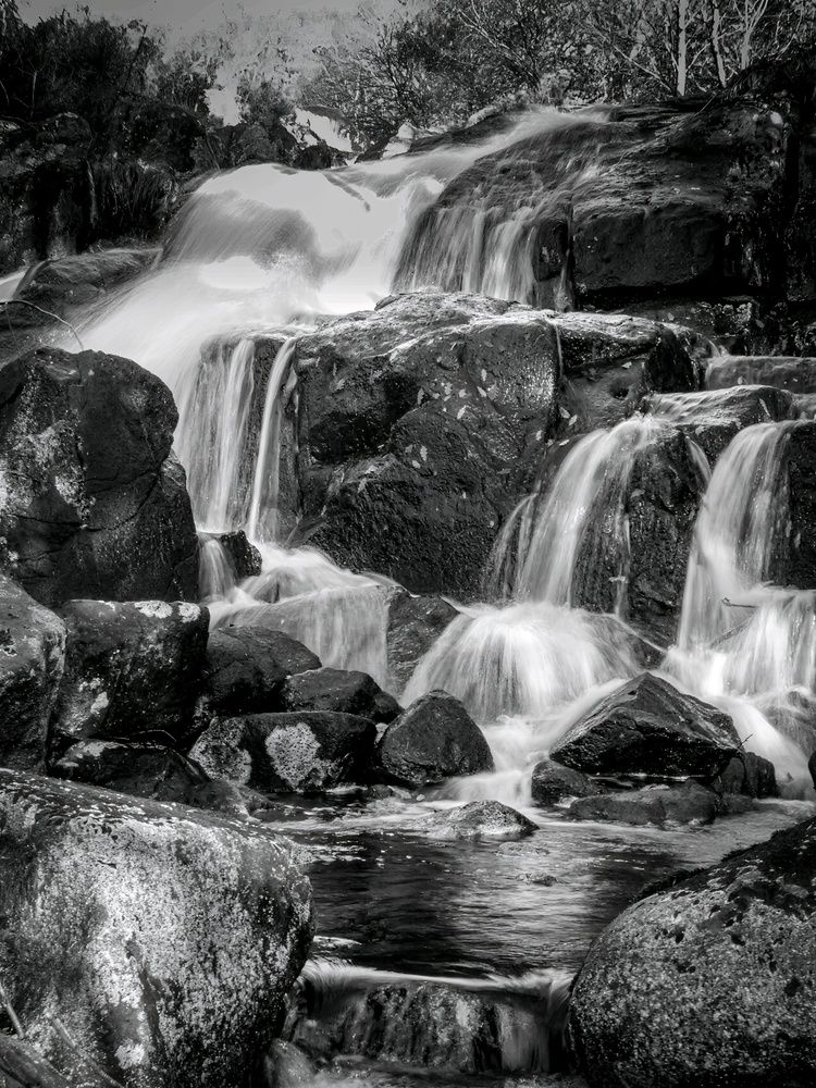 Фотография автора Michael Gault