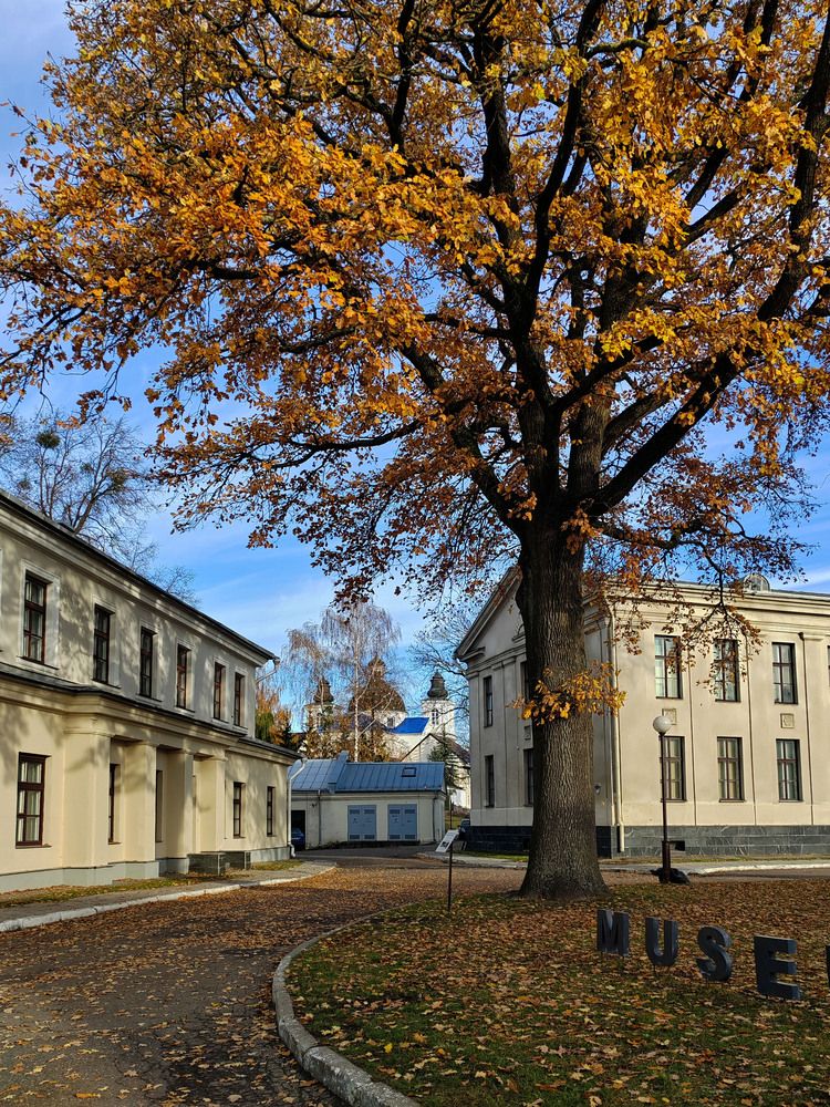 Фотография автора Нестеренко Светлана