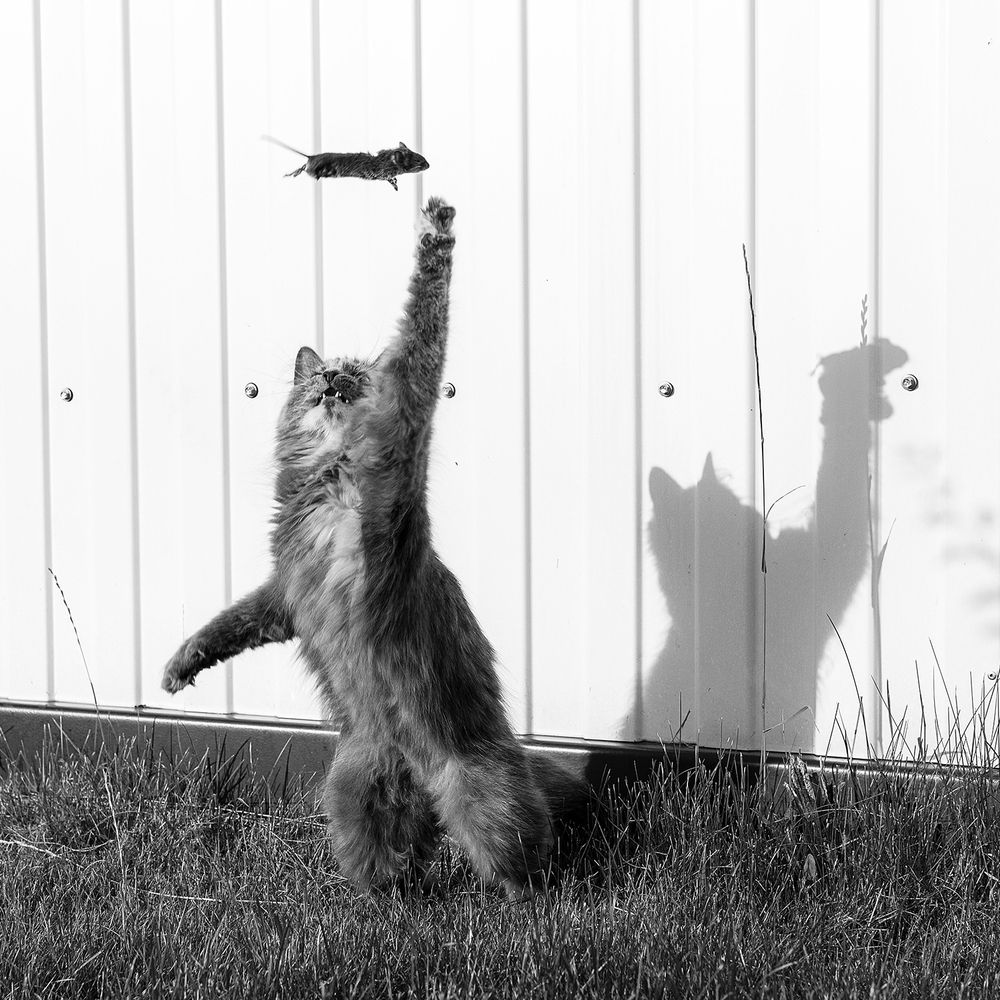 Photograph by Чистякова Валерия