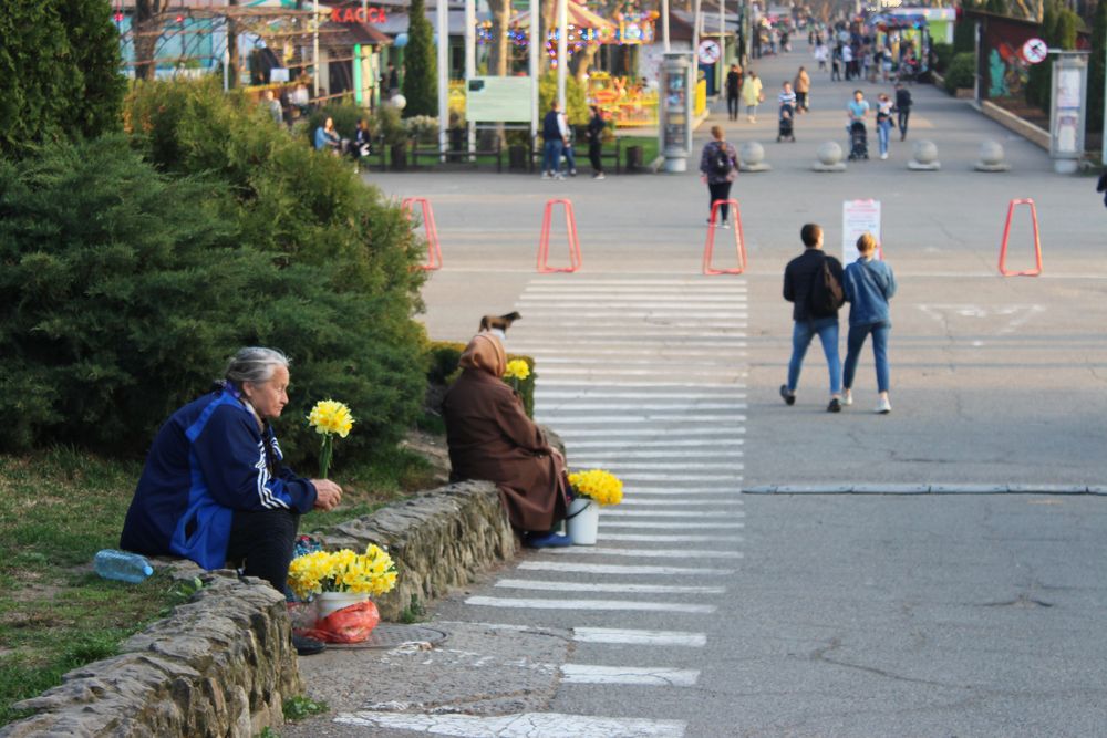 Photograph by Светлана Шубина