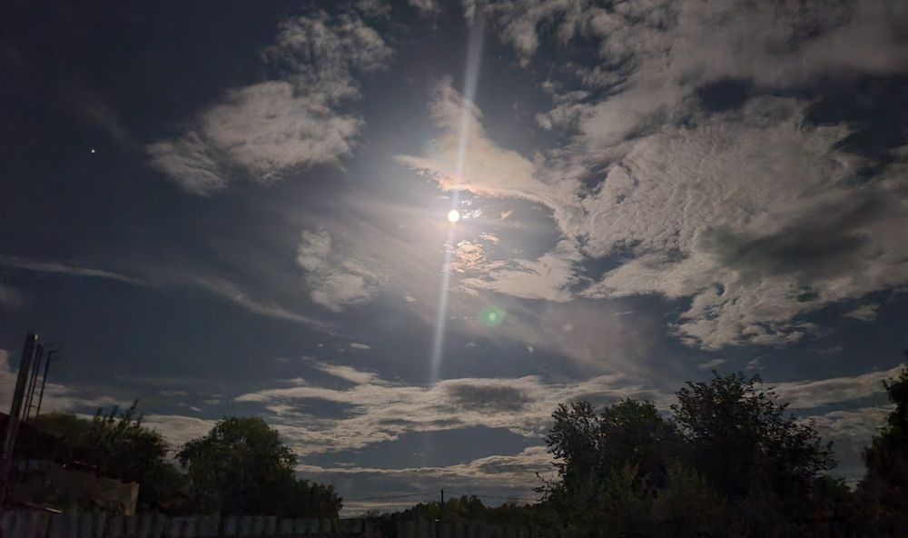 Фотография автора Анастасия Бондарь