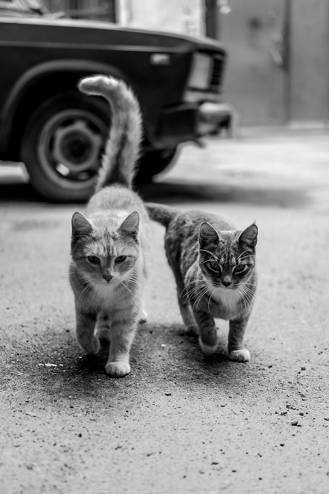 Photograph by Анна Титова