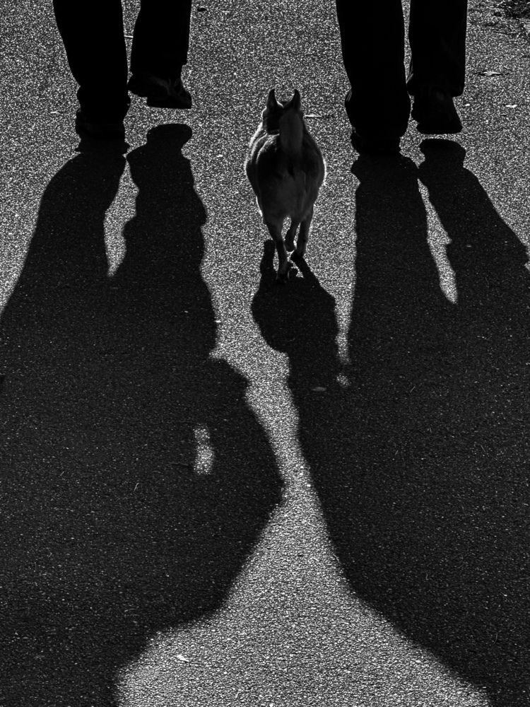 Photograph by Анна Титова