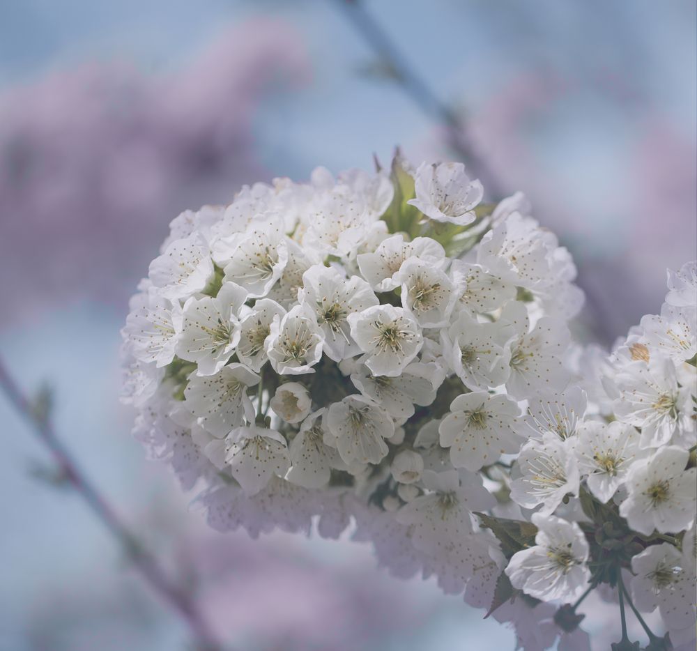 Photograph by Марианна Привроцкая www.privrotskaya.ru