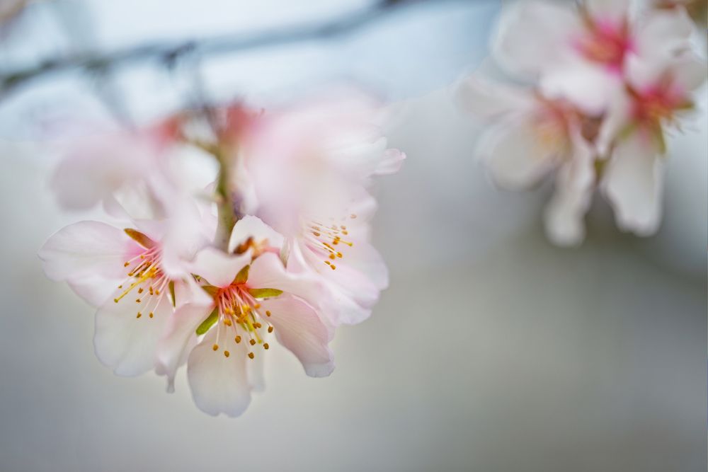 Photograph by Марианна Привроцкая www.privrotskaya.ru