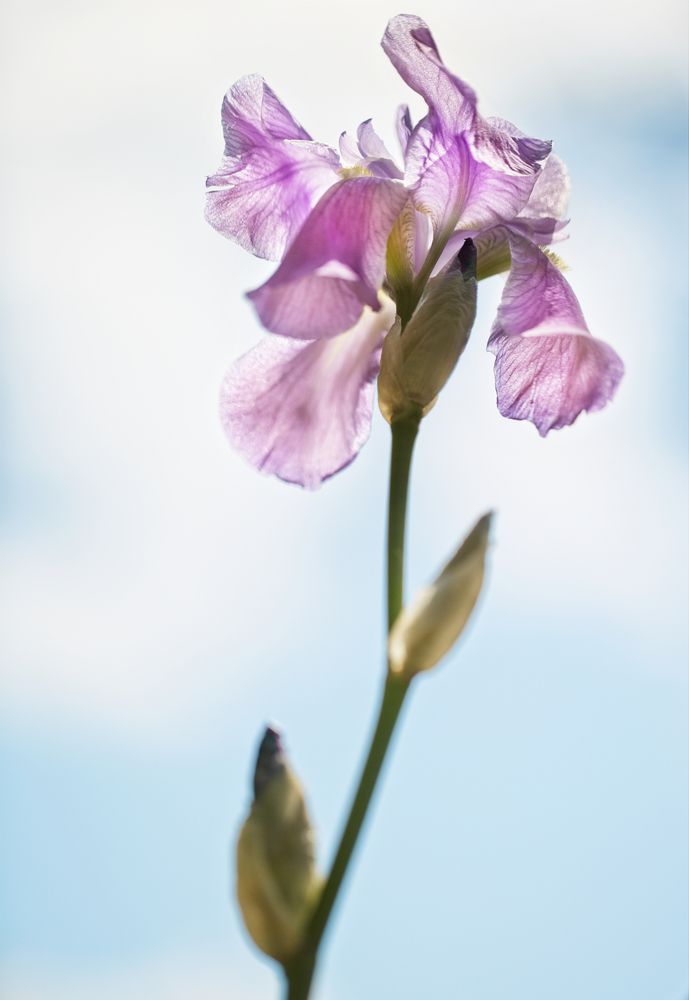 Photograph by Марианна Привроцкая www.privrotskaya.ru