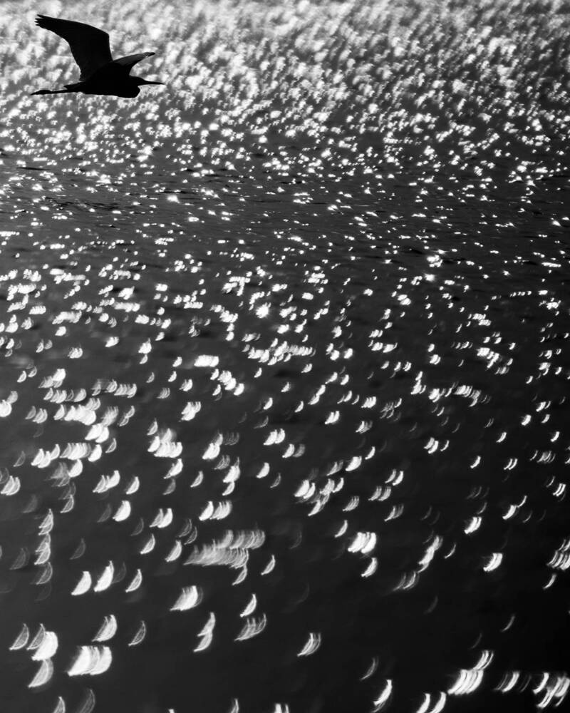 Photograph by Arnold Judson Samuel