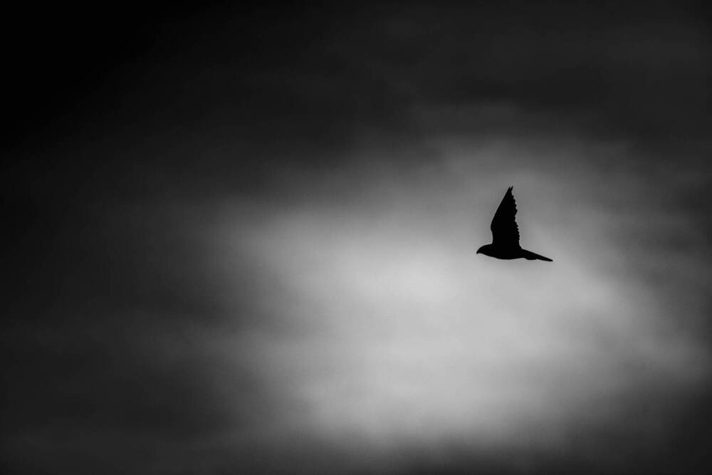 Photograph by Arnold Judson Samuel