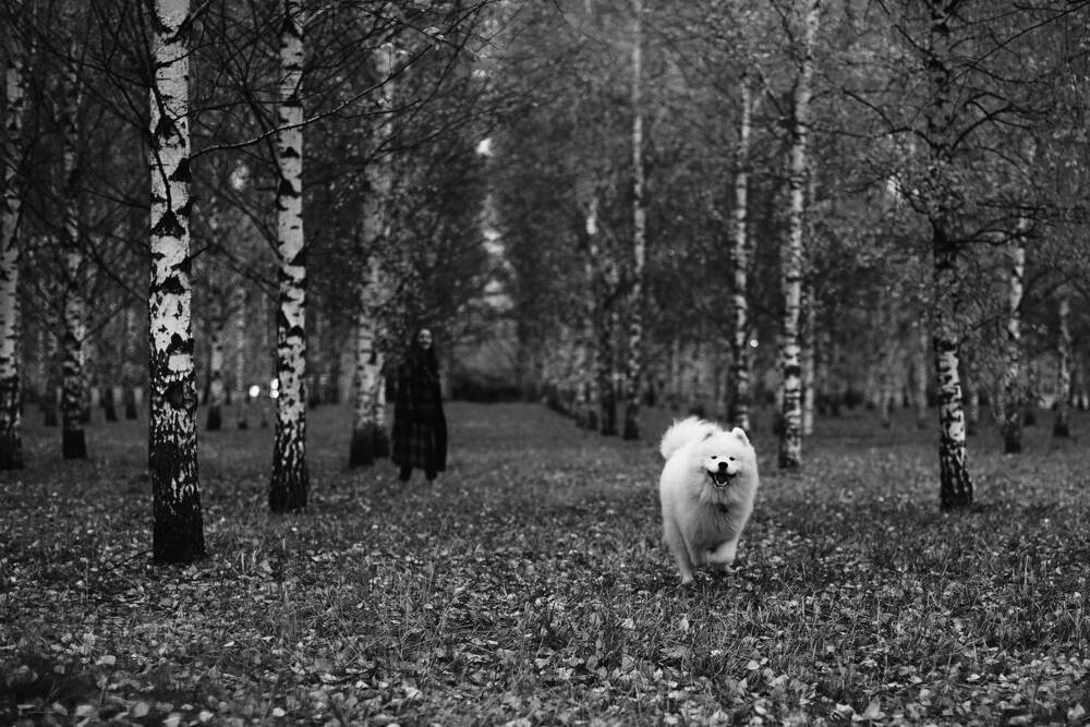 Фотография автора TOTORO