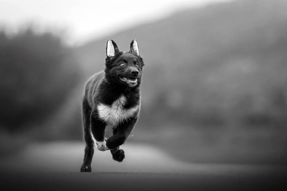 Photograph by Dorota Hnatová