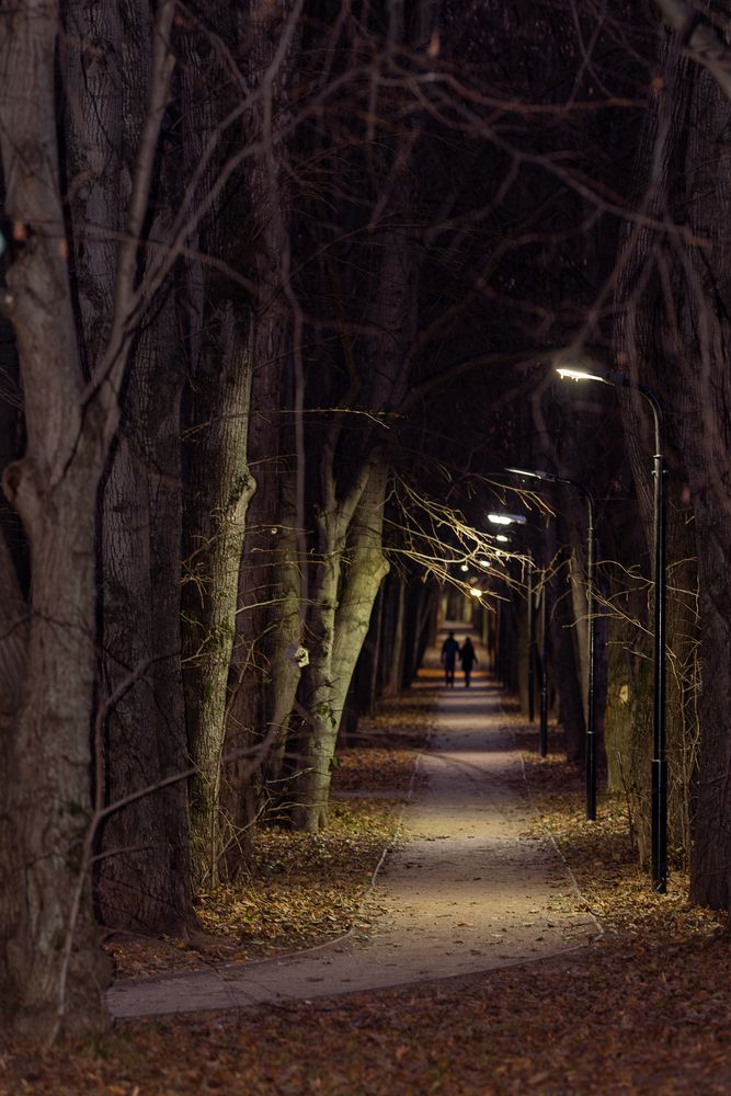 Photograph by Алёна