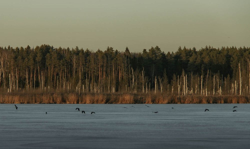 Photograph by Анна