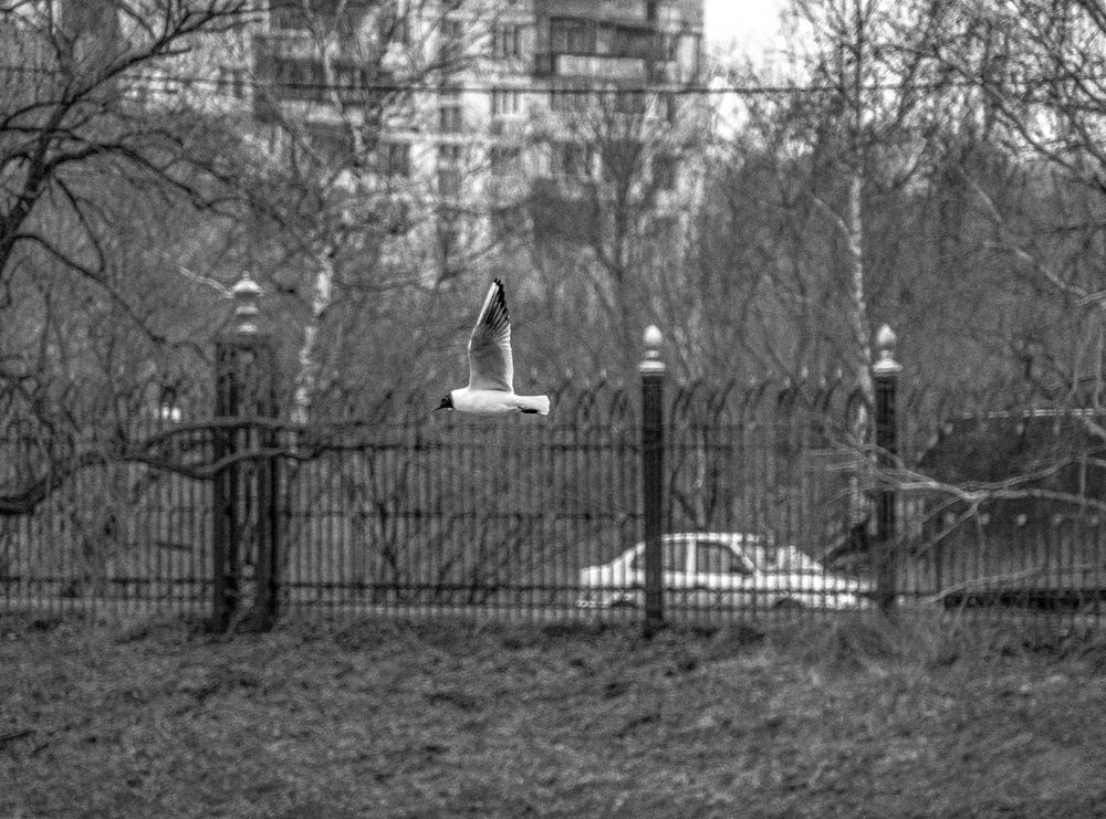 Photograph by Anna Prohorova